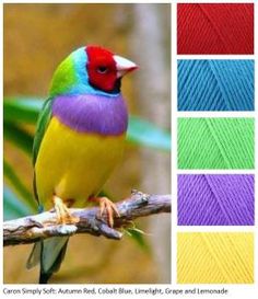 a colorful bird sitting on top of a tree branch next to different colors of yarn