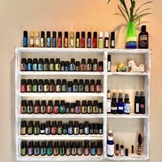 a shelf filled with lots of bottles next to a vase and flower on top of it