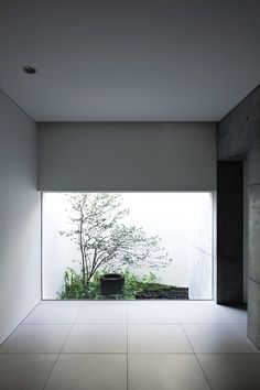 an empty room with a tree in the center and white tile flooring on both sides