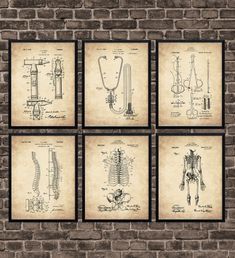 four framed medical diagrams on a brick wall