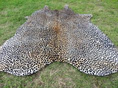 an animal print rug is laying on the grass