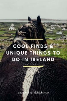 a black and white horse with the words cool finds and unique things to do in ireland