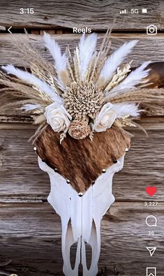 an animal skull with feathers and flowers on it's head is displayed in front of a wooden wall