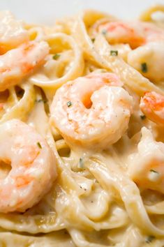 pasta with shrimp and cheese in a white sauce