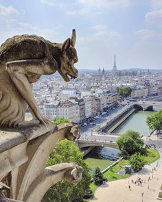 a statue of a dog on top of a building overlooking a river and cityscape