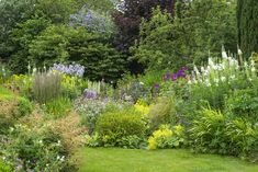 the garden is full of colorful flowers and plants