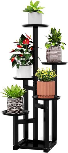 three tiered plant stand with potted plants on each shelf and two different types of flowers