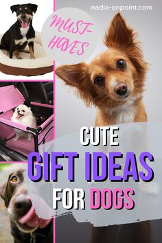 a collage of cute dog pictures with text overlay that says cute gift ideas for dogs