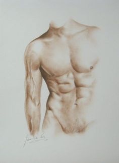 a drawing of a man's torso with no shirt