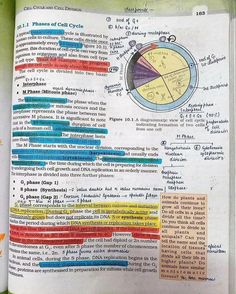 an open book with colorful text and diagrams on the pages, in which there is a pie chart