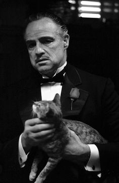 a man in a tuxedo holding a cat