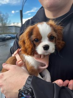 a man holding a small dog in his arms and wearing a watch on it's wrist