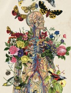 an image of the human body with flowers and butterflies around it