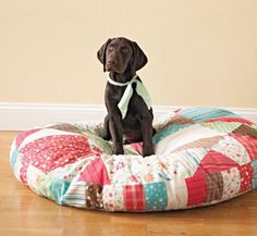 a black dog sitting on top of a round pillow