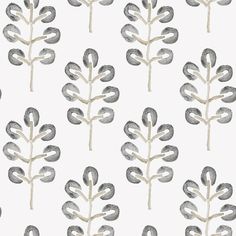 Plum Tree Black Botanical Wallpaper from the Thoreau Collection by Brewster Black Botanical Wallpaper, Blend Wallpaper, Plum Trees, Block Print Pattern, Ivy Vine, Wallpaper For Sale, Plum Tree, W Wallpaper, Contemporary Wallpaper