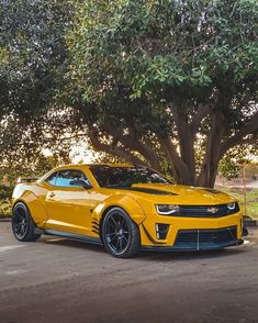 a yellow chevrolet camaro parked in front of a tree