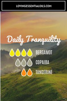 Daily Tranquility Oil Blend with Copaiba, Bergamot, Tangerine Copaiba Diffuser Blends, Bergamot Essential Oil Uses, Essential Oil Diffuser Benefits, Copaiba Essential Oil, Mood Stabilizer, Diy Essential Oil Recipes, Essential Oil Safety