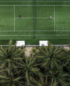 two tennis courts surrounded by palm trees and people playing on the same court from above