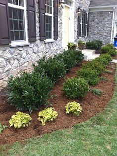 some bushes and flowers in front of a house