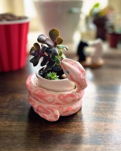 a small potted plant sitting on top of a wooden table