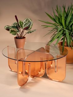 a glass table with two potted plants sitting on top of it next to each other