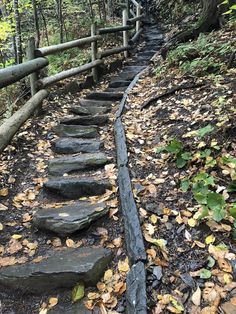 a set of stone steps leading up to the top of a hill in the woods