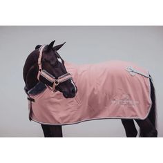 a brown horse wearing a pink blanket