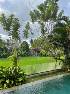 an outdoor swimming pool surrounded by lush green trees and grass with a house in the background