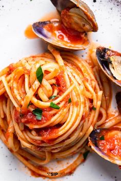 spaghetti with clams and tomato sauce on a white plate, ready to be eaten