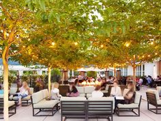 people are sitting on couches under the shade of trees at an outdoor patio restaurant