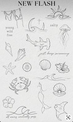 the new flash stamp is designed to look like sea animals and seashells