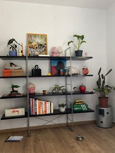 a bookshelf filled with lots of books on top of wooden floors next to a potted plant