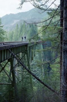 two people are walking across a bridge in the middle of some trees with mountains in the background