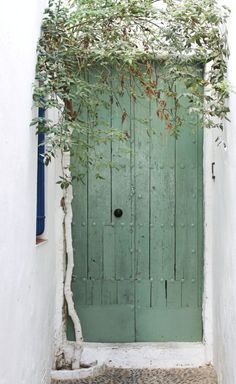 an old door with vines growing on it's sides and the top half painted green