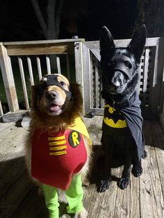 two dogs dressed up in costumes on a wooden deck at night, one wearing a costume and the other as a dog