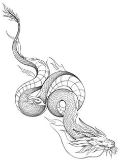 a black and white drawing of a dragon with its tail curled in the shape of a snake