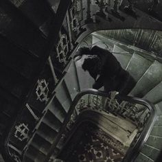 a man riding down the stairs on top of an escalator in a building