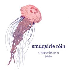 a pink jellyfish floating on top of a white background with the words smug - all - urn written below it