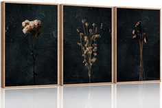 three paintings with flowers in them on a wall