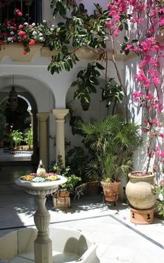 an outdoor courtyard with potted plants and flowers