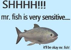 an image of a fish saying it's okay to say shh n, mr fish is very sensitive