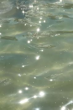 the water is crystal clear and there are many bubbles in it, as well as small white dots on the surface