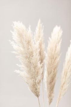 some white flowers are in a vase on a gray tablecloth and the background is blurry