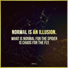 a spider with the caption normal is an illusion what is normal for the spider is chaos for the fly