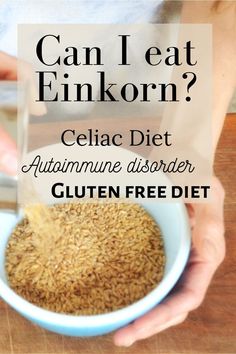 Ancient Grains Bread, Ancient Grains Recipes, Celiac Diet, Gluten Free Substitutes, Einkorn Recipes, Organic Baking, Autoimmune Disorders, Einkorn Flour, Wheat Recipes