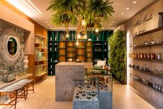 the inside of a store filled with lots of bottles and shelves covered in plants, candles and other items