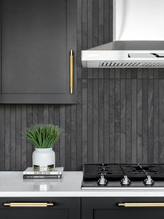 a stove top oven sitting next to a wall mounted range with a potted plant on it