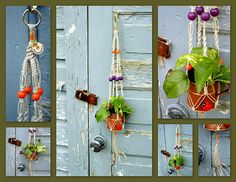 four different pictures of plants hanging from the side of a door with hooks and strings attached to them