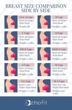 Breast Sizes Chart, Moda Academia, Bra Fitting Guide, Bra Sewing, Bra Hacks, Fashion Vocabulary, Bra Size Charts, Bra Types, Fashion Hacks Clothes