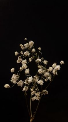 a bunch of white flowers in a vase